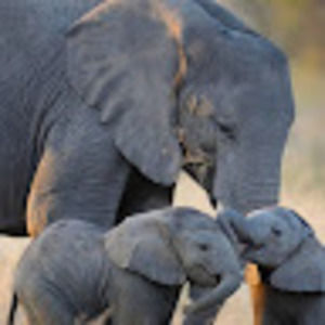 Meet your Posher, Lynn